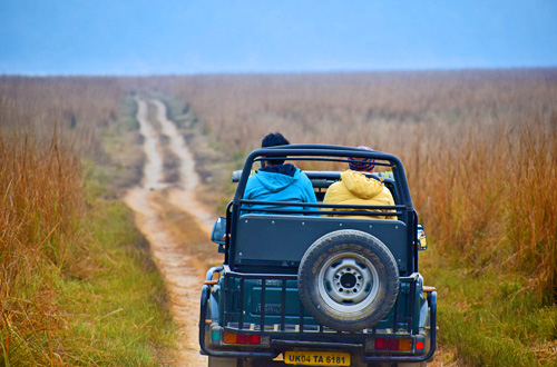 Jeep Safari Booking